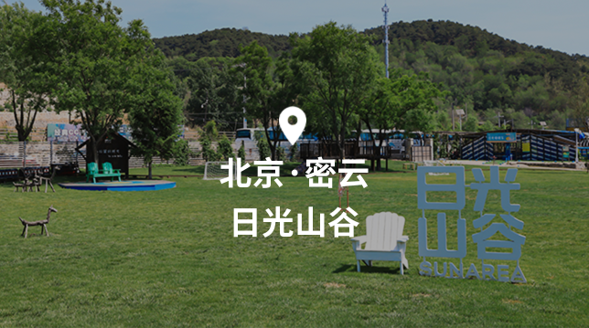 Sunarea Logo