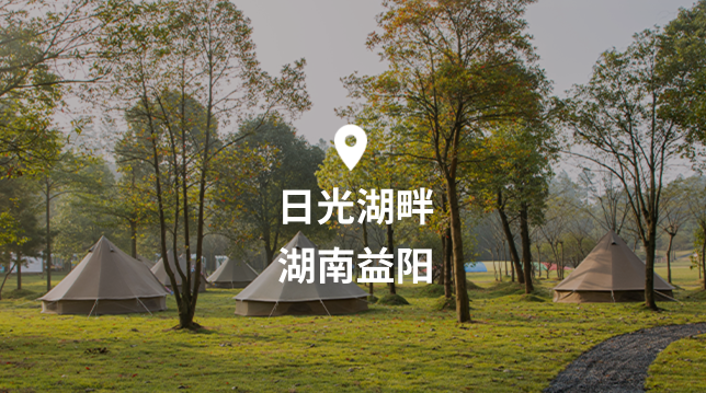 Sunarea Logo