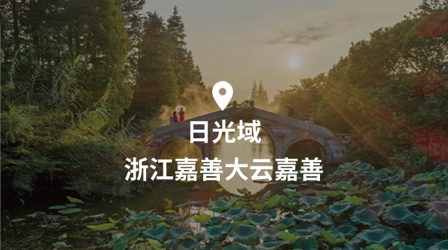 Sunarea Logo